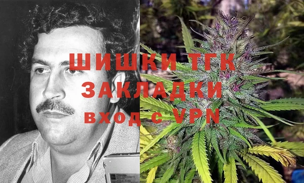 прущая мука Арсеньев