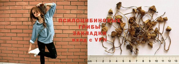 первитин Армянск