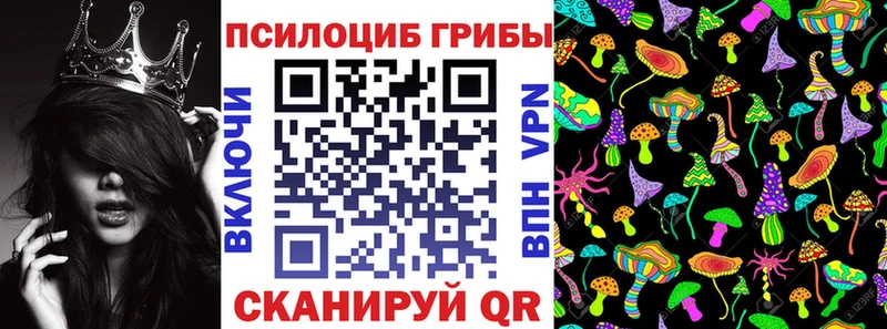 Псилоцибиновые грибы Psilocybe  ссылка на мегу вход  Балабаново  наркота 
